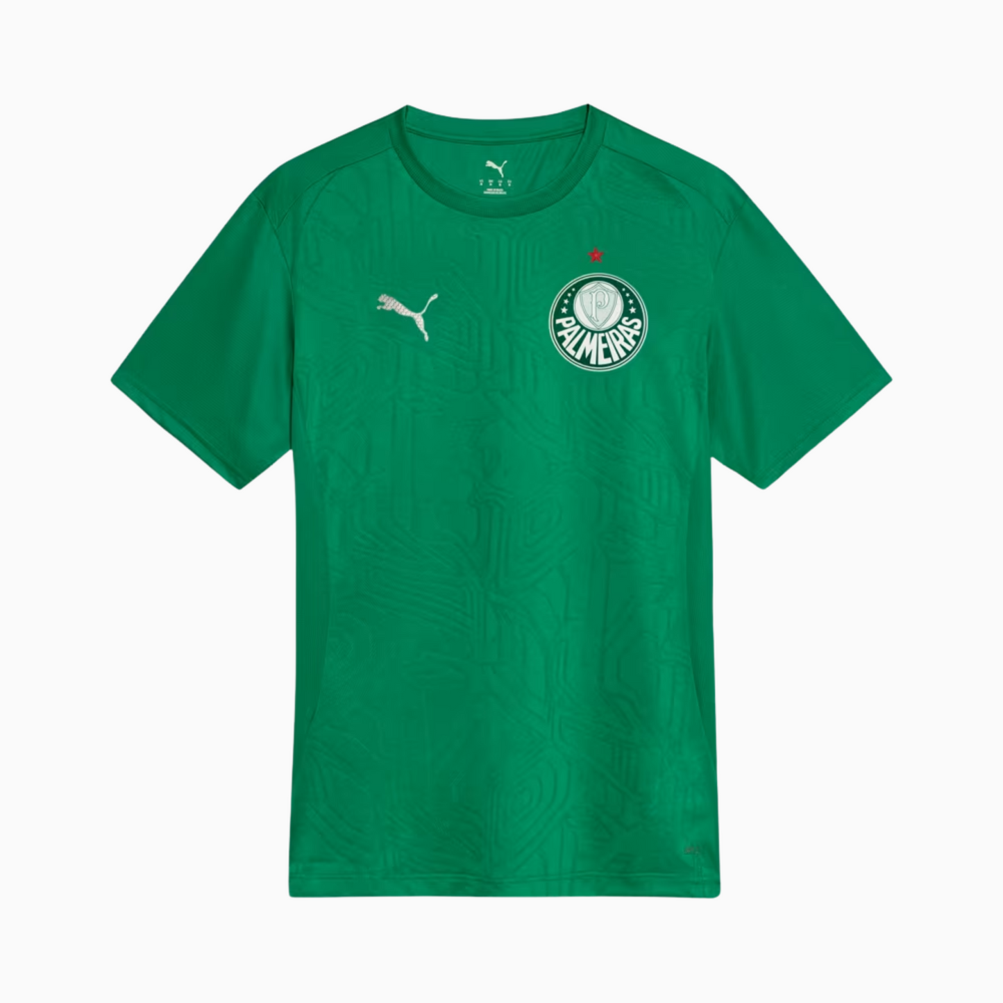 Camisa Palmeiras 2025/26 Treino