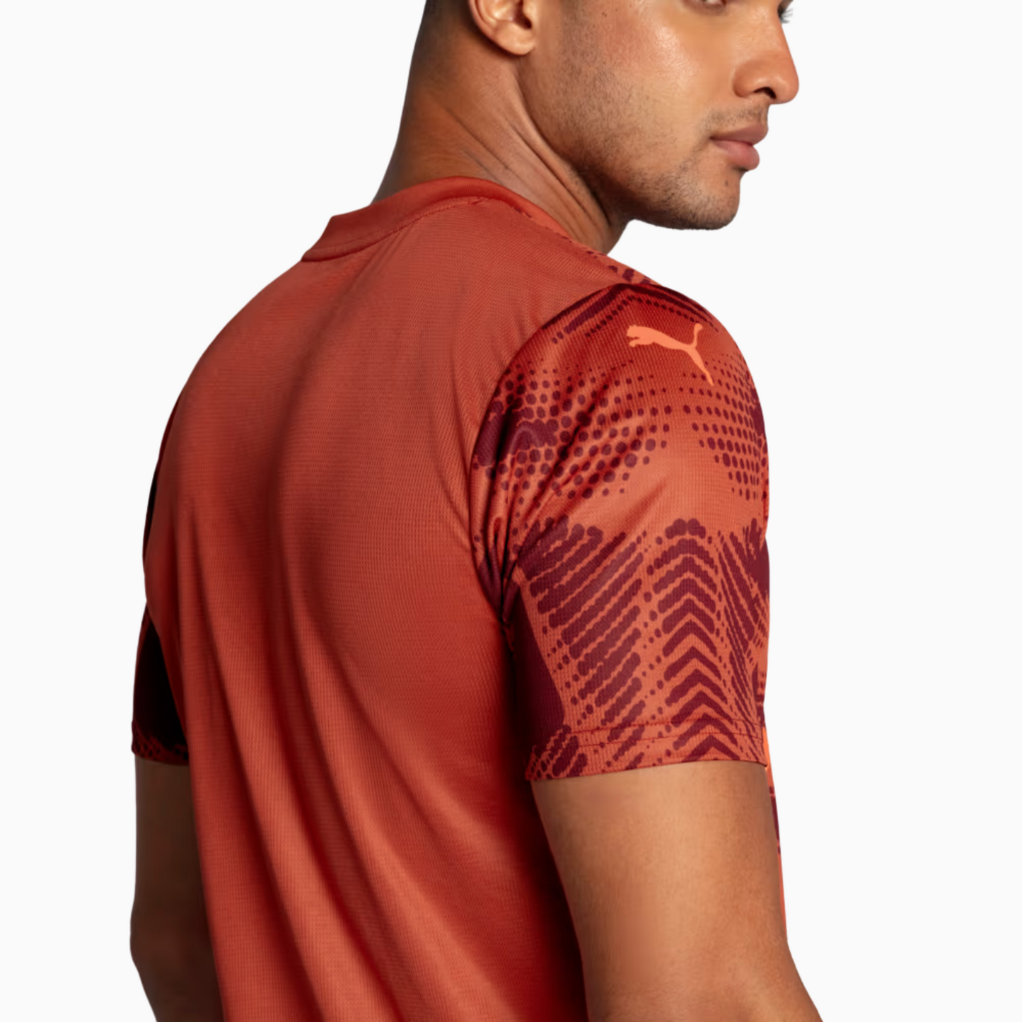 Camisa Puma Palmeiras 2025/26 Goleiro II