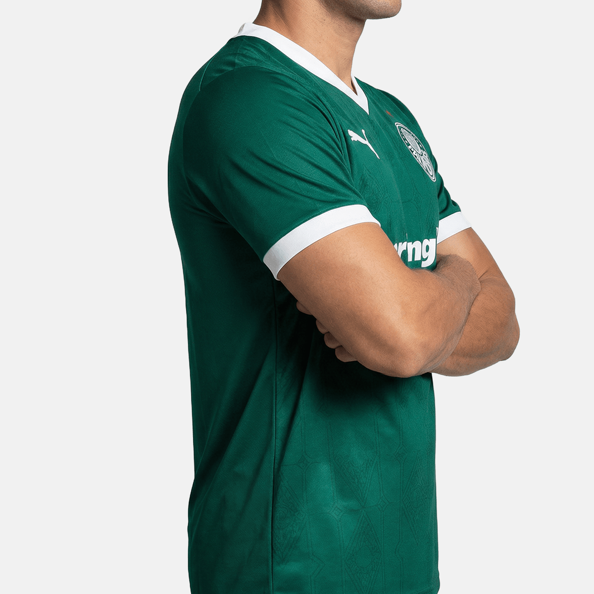 Camisa Puma Palmeiras 2025/26 I Jogador